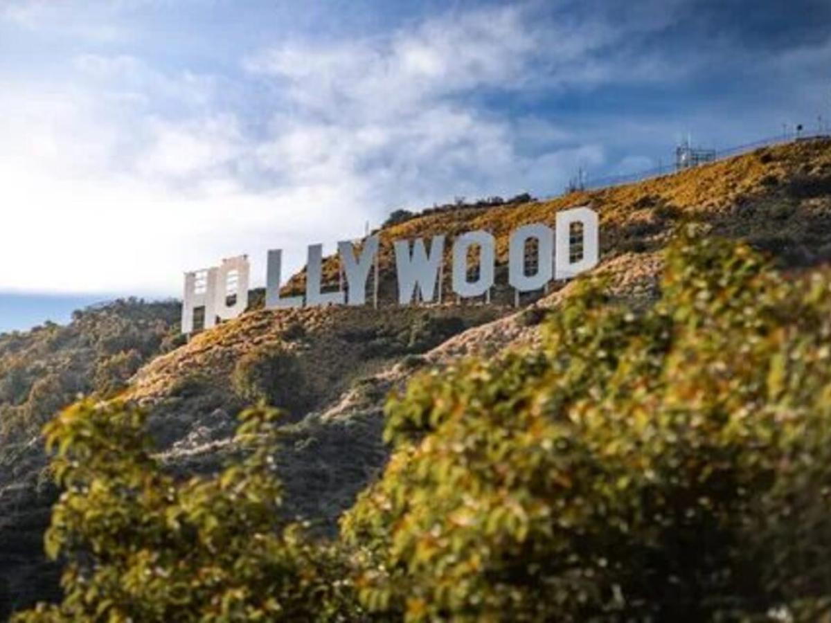 В США стали популярны учебные заведения, которые обучают кинопроизводству с использованием ИИ - 1